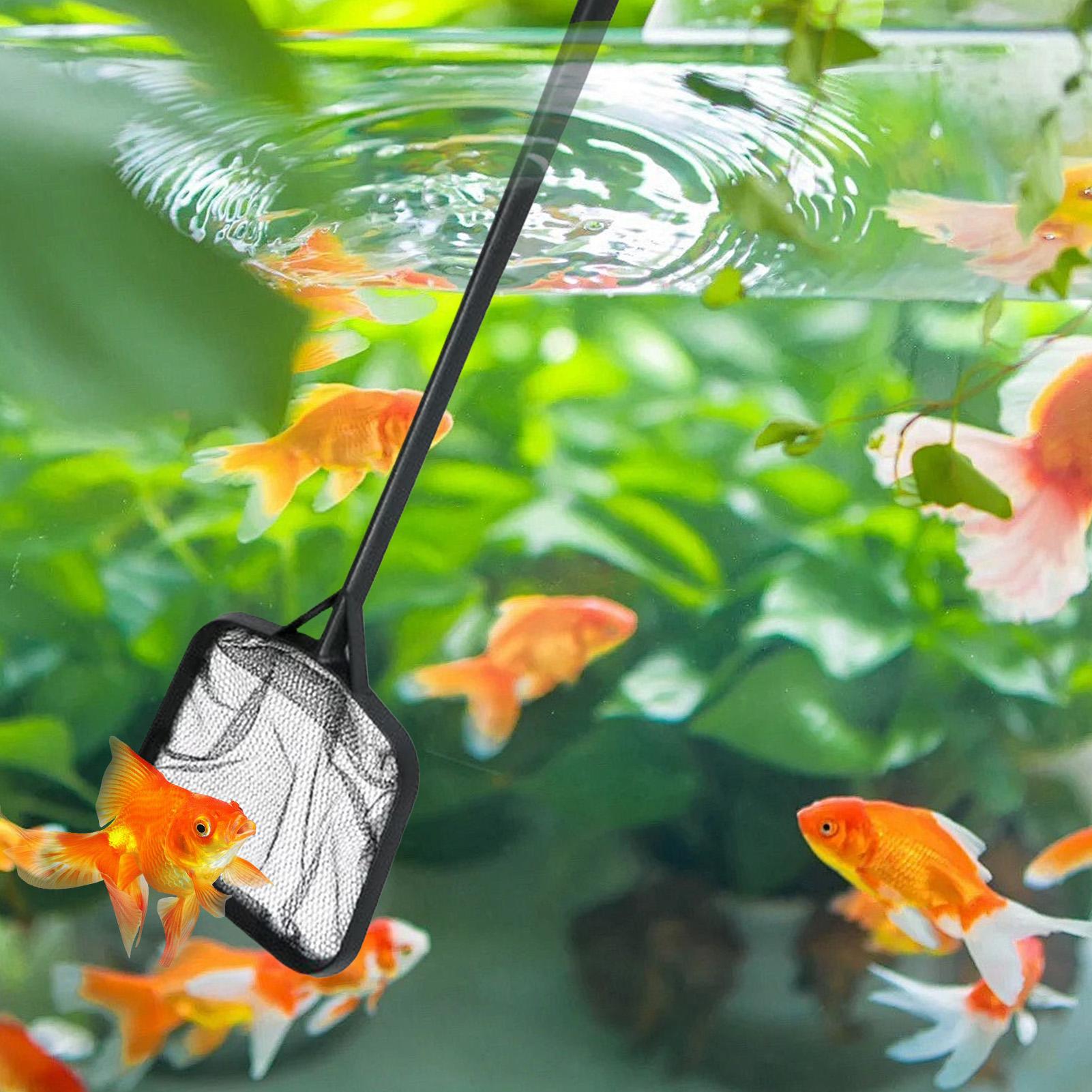 Pool Nets for Cleaning Portabl - Marine Aquarium Equipment recension och pris